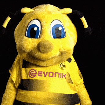 Znalezione obrazy dla zapytania borussia dortmund pszczóÅka gif