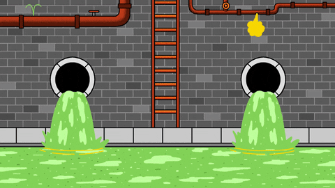 Animated GIF of sewer stream sourced from GIPHY Studios Originals