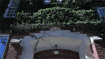 GIF by University of Florida