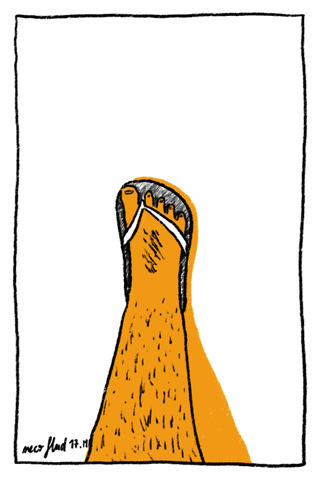 necoflud skate flip foot 360 GIF