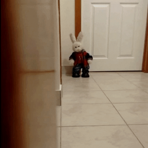 bunny sneaking GIF by Zackary Rabbit