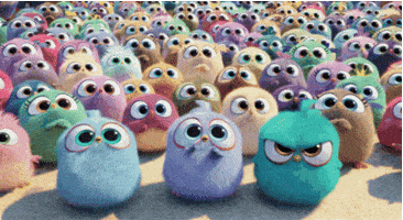 Mad The Angry Birds Movie GIF by Angry Birds