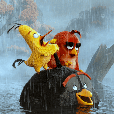 the angry birds movie swimming GIF by Angry Birds