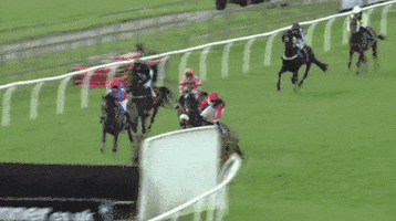 fail horse race GIF by Tomas Ferraro, Sports Editor