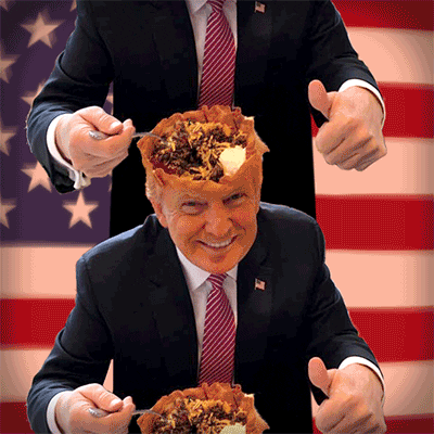 lectroid trump donald trump taco salad taco bowl GIF