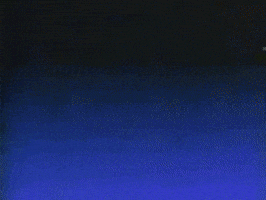 raymondschmidt funny haha ass asshole GIF