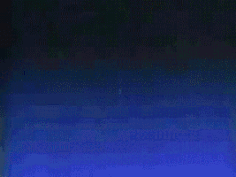 raymondschmidt kiss ass my kiss my ass GIF