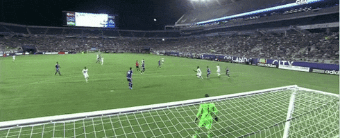 goal GIF by Philadelphia Union
