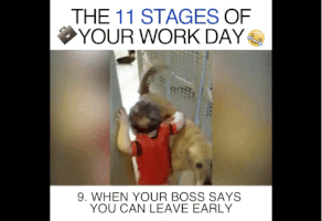 com  GIF