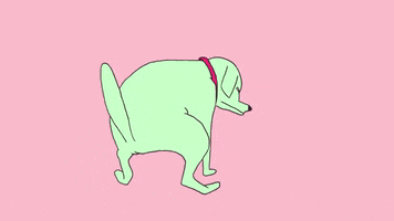 pooping lol GIF by richard a chance