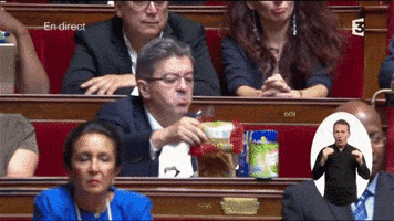 jean luc melenchon apl GIF by franceinfo