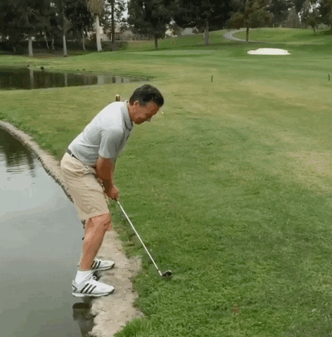molnarm69  GIF