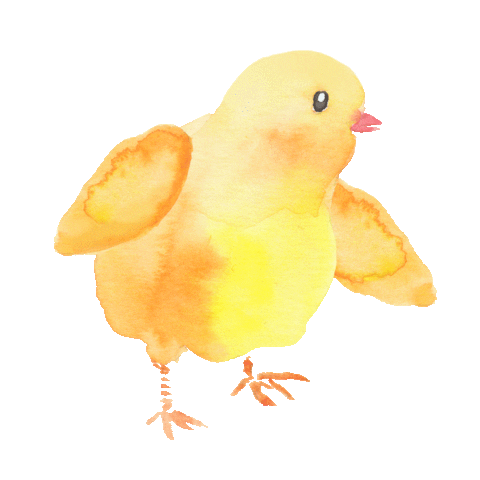 Happy Yellow Bird Sticker by colorsnack