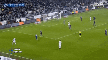 yazed  GIF