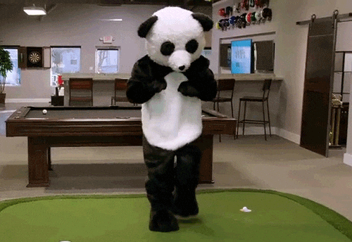 giphy.gif?cid=ecf05e4727e6f7ca69af80a3d8