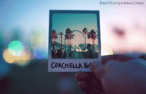 anthony samaniego animated GIF