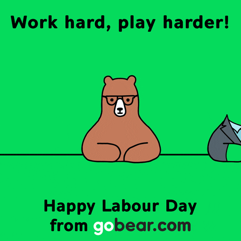 May Labor Day GIF by GoBear