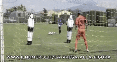 goalkeeper torwart goleiro portiere goalkeepers GIF