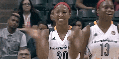 high five briann january GIF by Indiana Fever