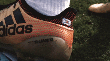 Marcelo Vieira M12 GIF by Marcelo Twelve