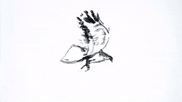 Music Video Room Inside The World GIF by Ought