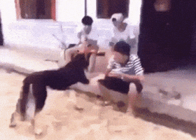 glenbradley  GIF