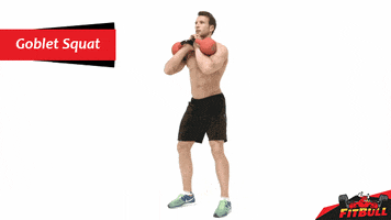 soner fitbull GIF