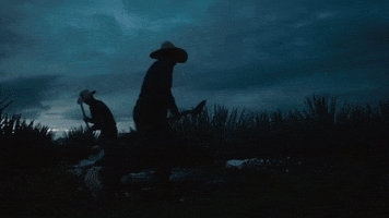 mexico tequila GIF