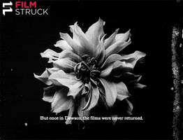silent film flower GIF by FilmStruck