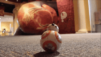 200.gif?cid=fc005b084ceaa367512ccc78bbd409e5fabb756349f41521&rid=200.gif&ct=g