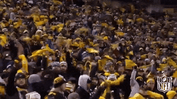 Football Terrible Towel GIF by NFL