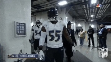 football suggs GIF by NFL