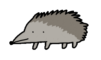 Blink Hedgehog Sticker by nixelpixel
