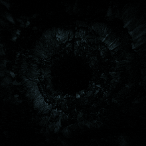 Animation Loop GIF by Spiritform