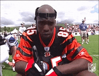 Chad Johnson Little Naggy Comment GIF