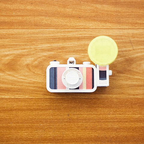 juliefernanda photography lomo lomography lomografia GIF