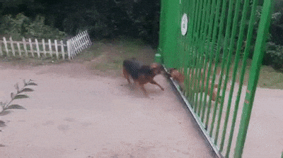 [Image: giphy.gif]
