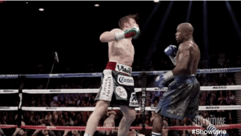 Giphy - Floyd Mayweather Boxing GIF by SHOWTIME Sports