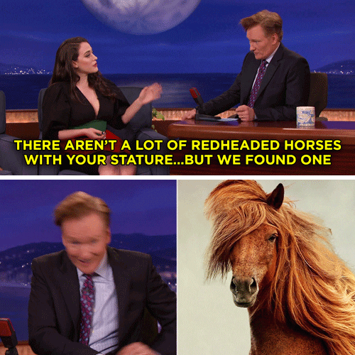 kat dennings horse GIF by Team Coco