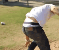 phtsint  GIF