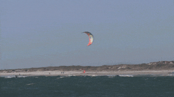 wings high as a kite GIF by Red Bull