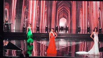 rhijeans  GIF