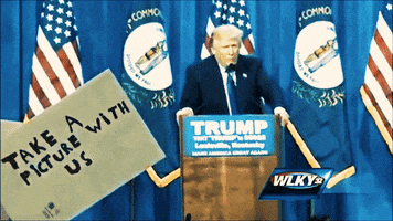 trump GIF by Moby