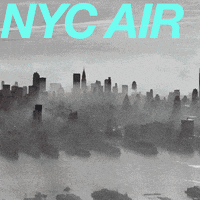 then and now nyc GIF by Njorg