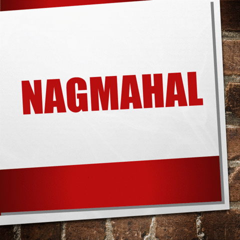 dreamerwordsmith  GIF