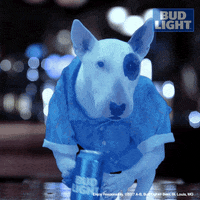 spuds mackenzie beer GIF by Bud Light