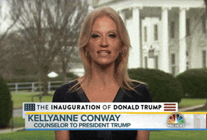 ollygibbs propaganda kellyanne conway bowling green massacre trump administration GIF