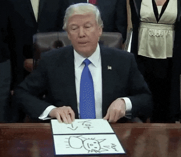 💫令和のGifコレクション～美しい地球～ : トランプさん