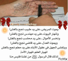 aljoundyroses life quotes GIF