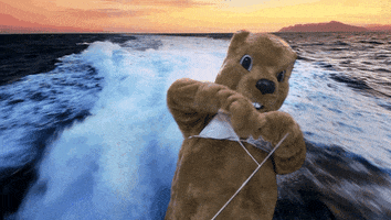 Video gif. A groundhog mascot waves while water skiing.